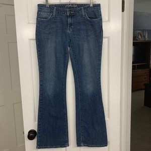 American Eagle Stretch Skinny Flare Jeans